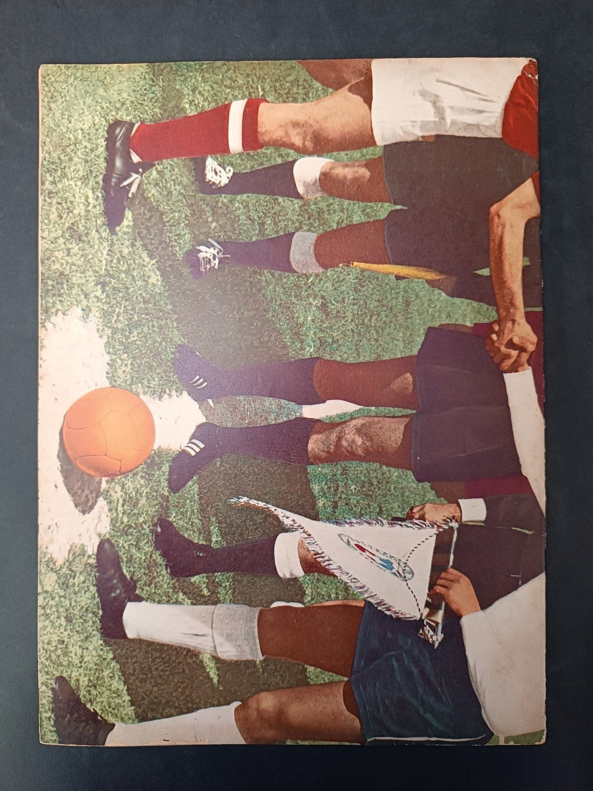 Image #2