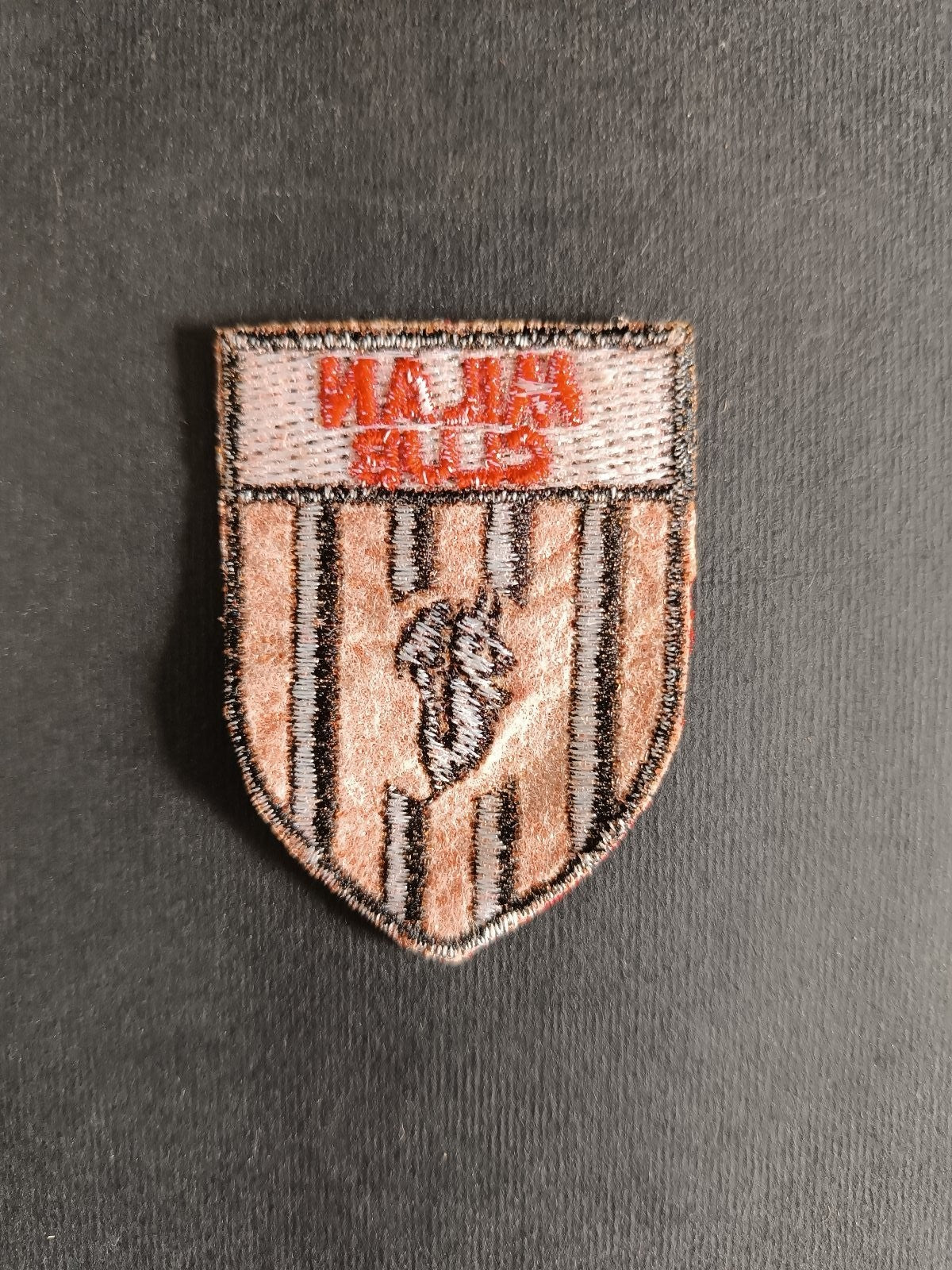Image #2