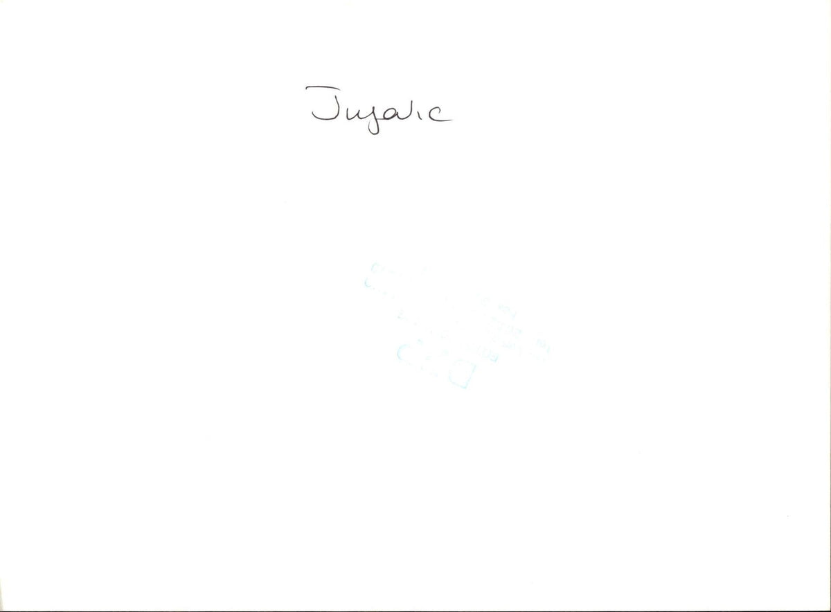 Image #2