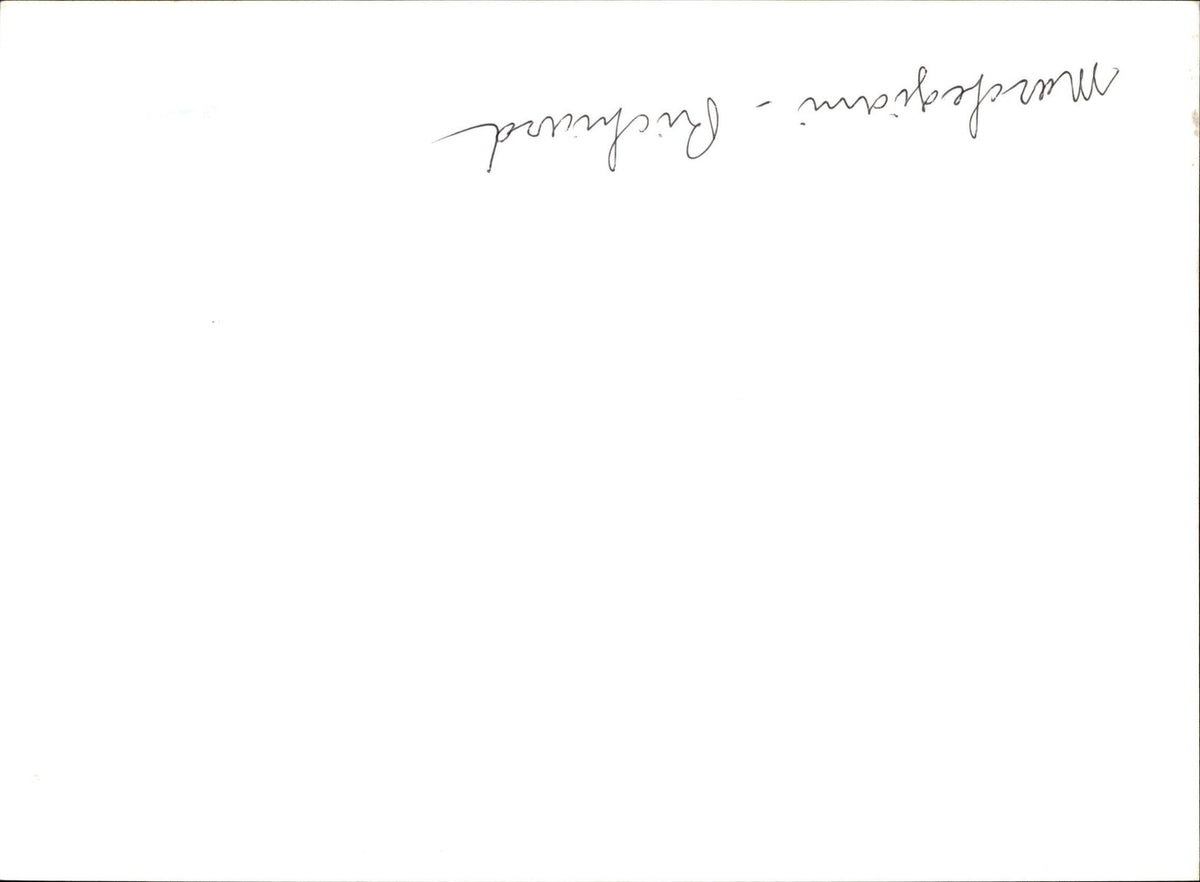 Image #2