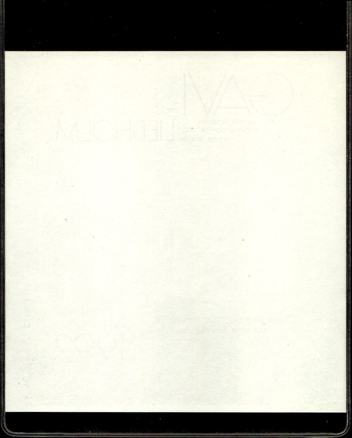 Image #2