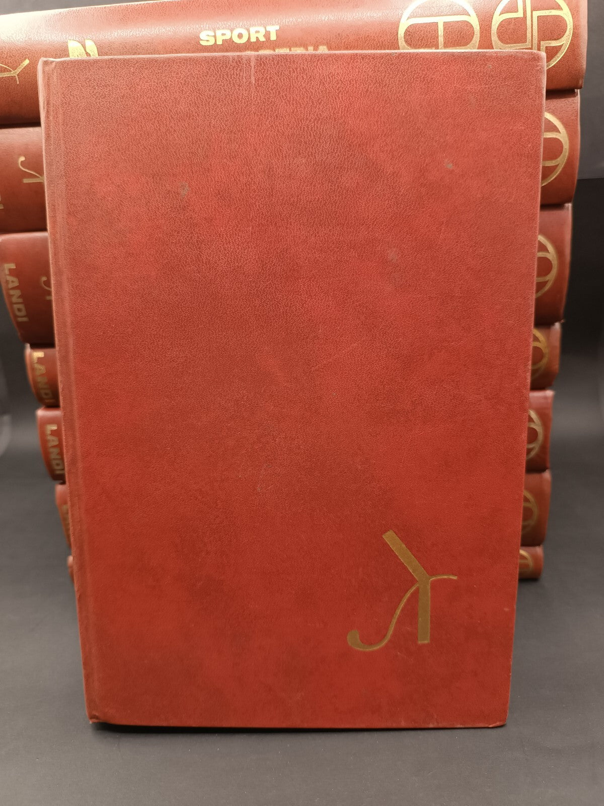 Image #3