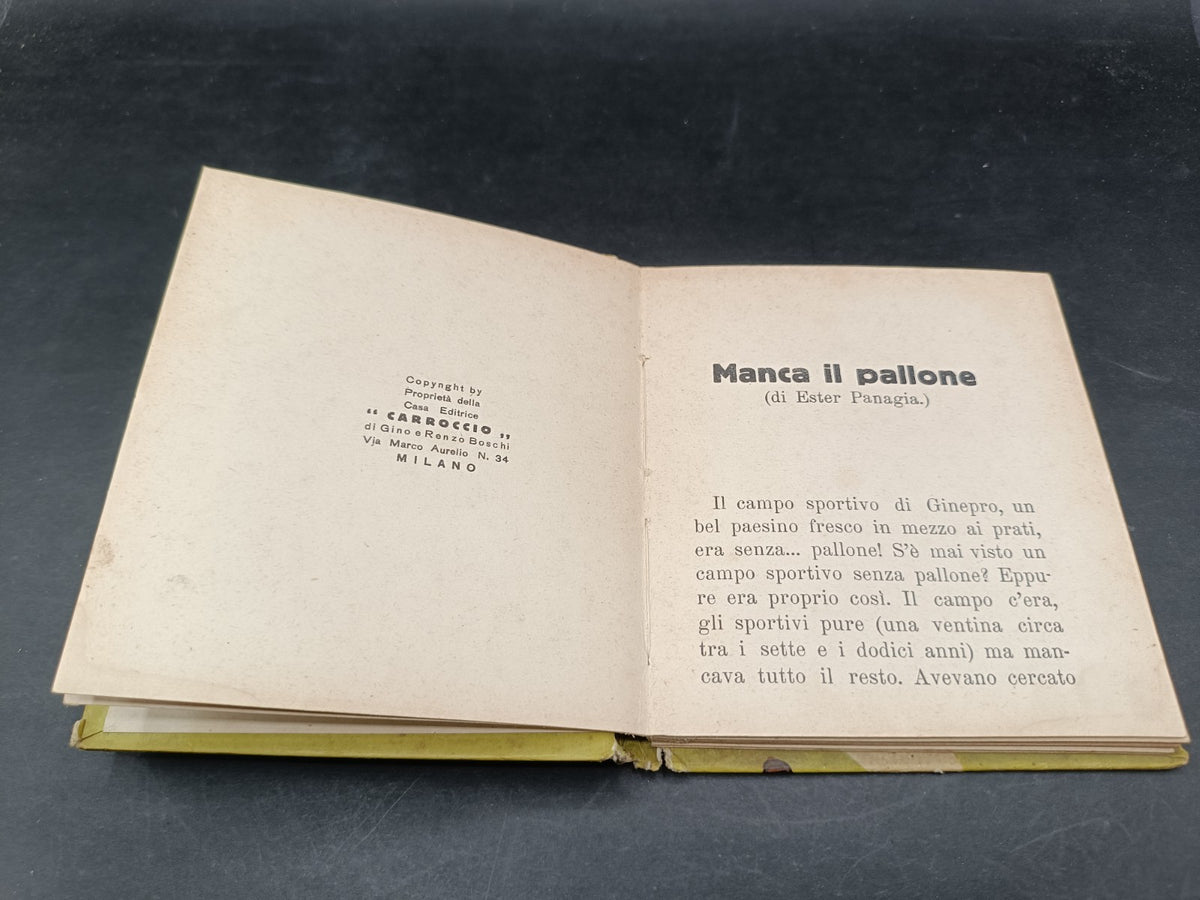 Image #8
