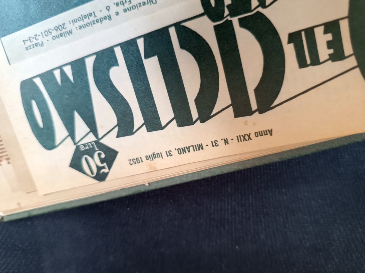 Image #14