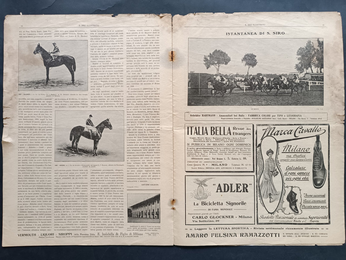 Image #10